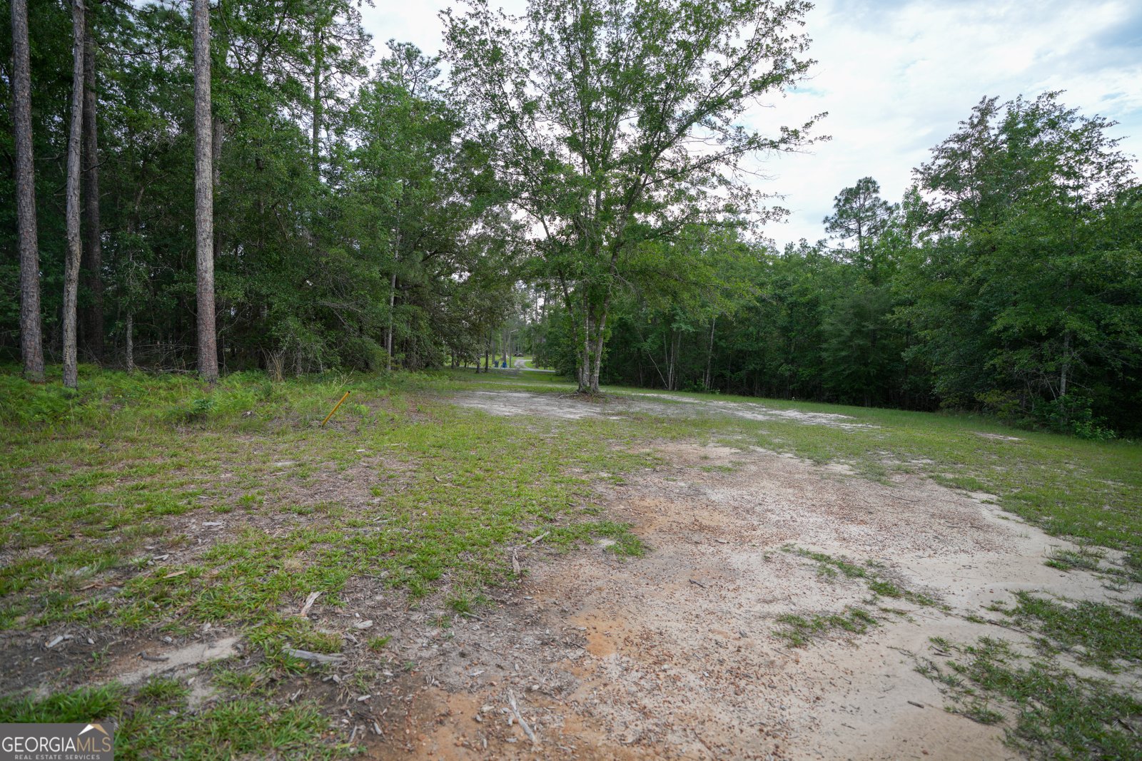 1615 James Wilson Drive Vidalia - Photo 100