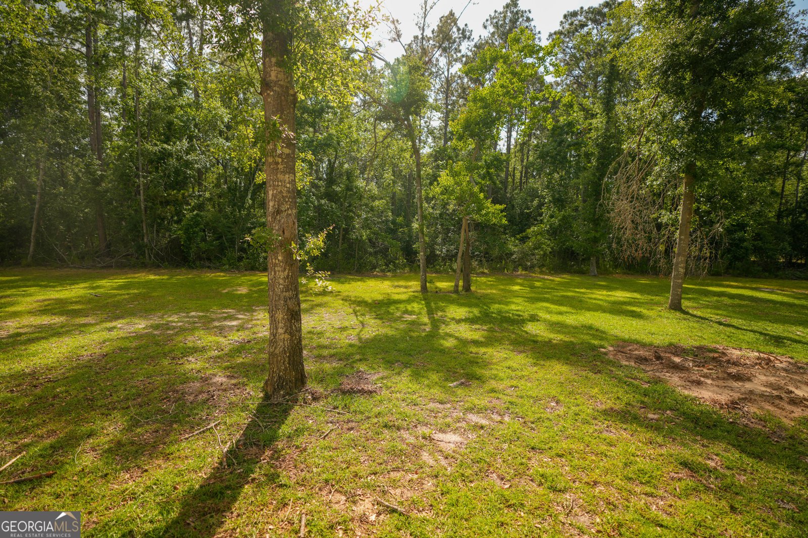 1615 James Wilson Drive Vidalia - Photo 6