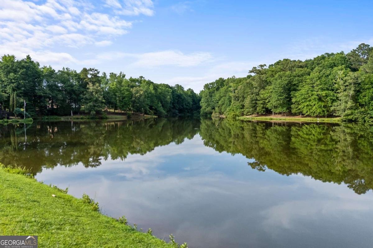 295 Blue Heron Drive Athens - Photo 80