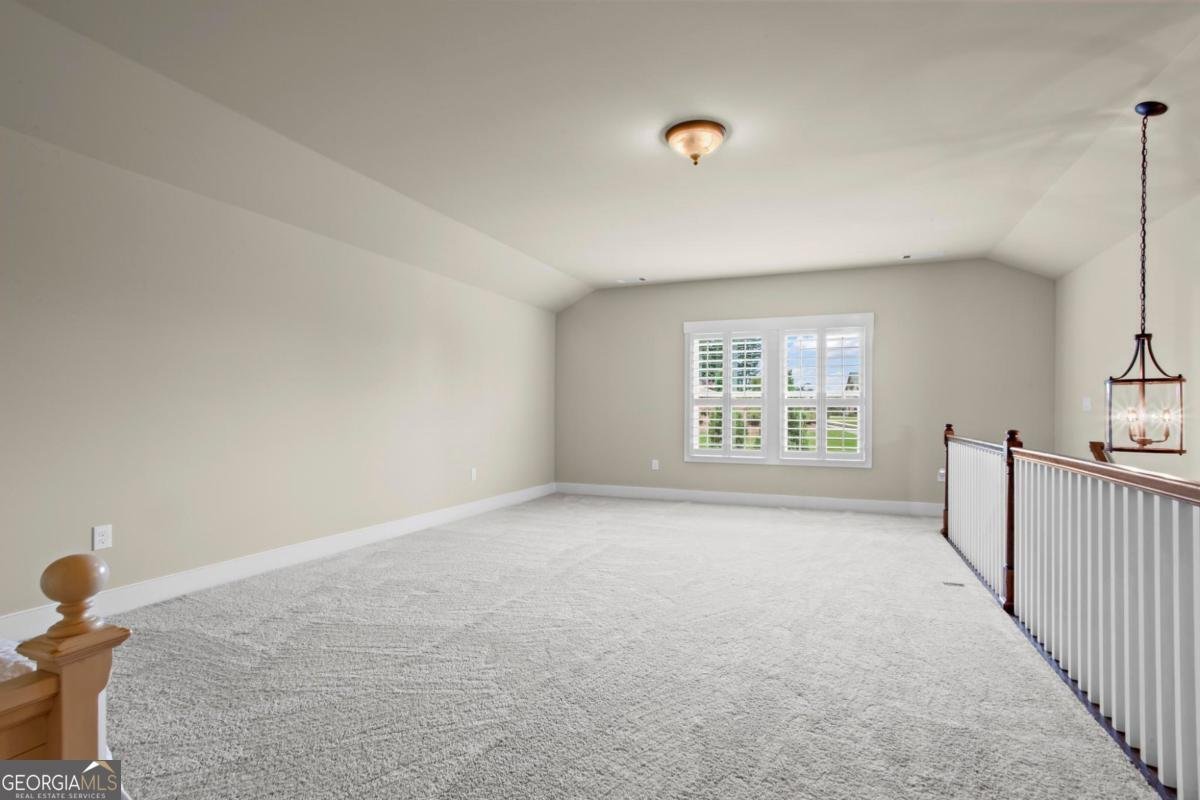 406 Horizon Trail Canton - Photo 46