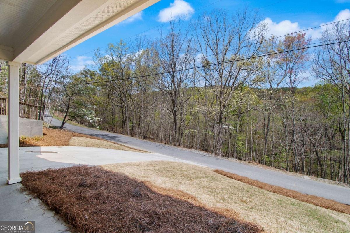 305 Ridgewood Drive Waleska - Photo 36