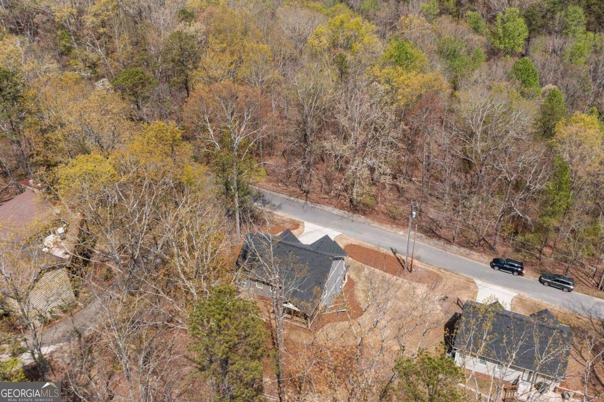 305 Ridgewood Drive Waleska - Photo 40