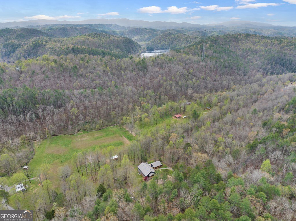 898 Childers Creek Road Reliance - Photo 64