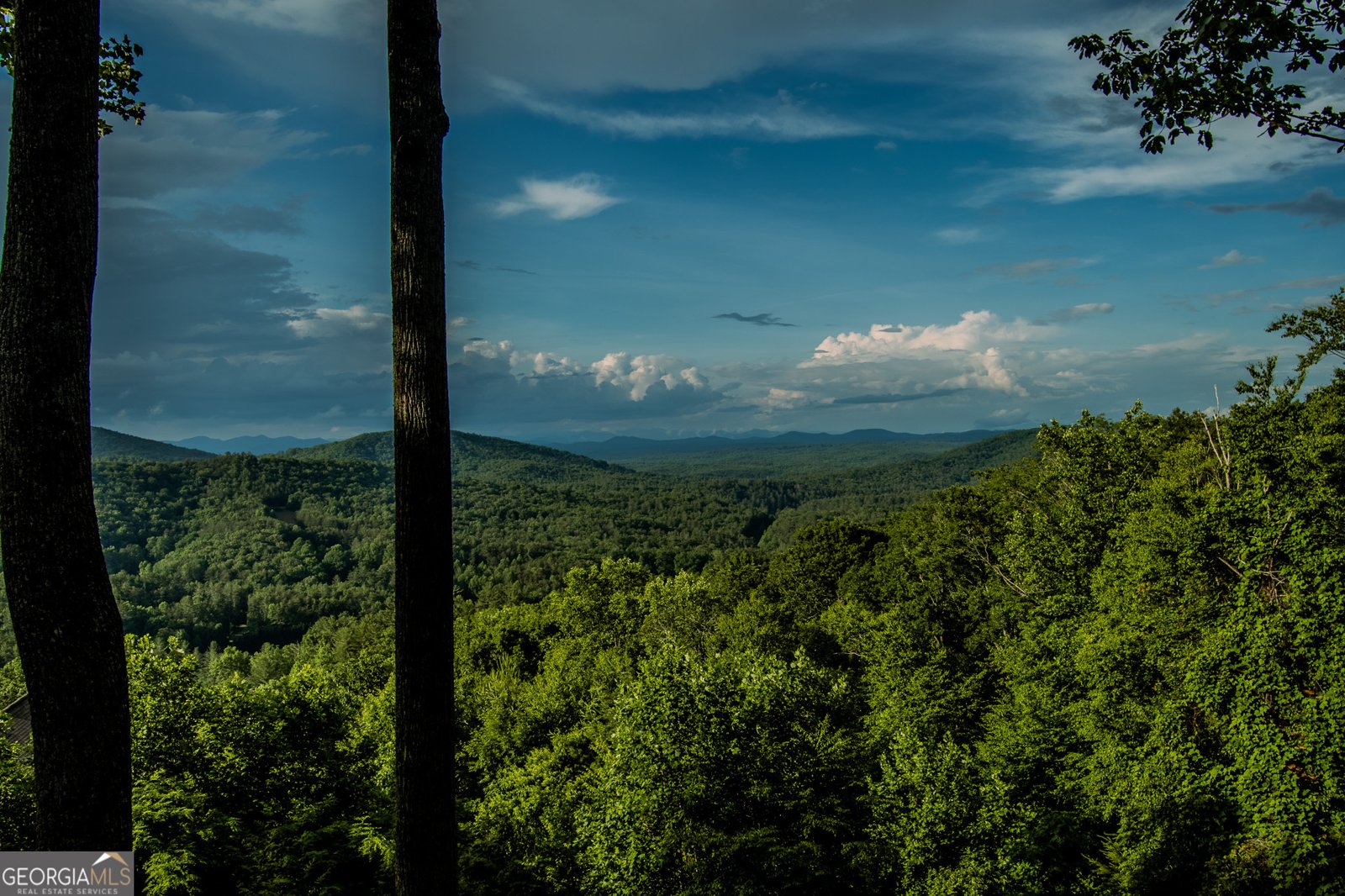 135 Bandit Lane Blue Ridge - Photo 22