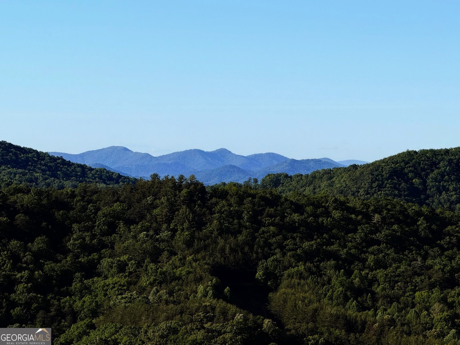 135 Bandit Lane Blue Ridge - Photo 23