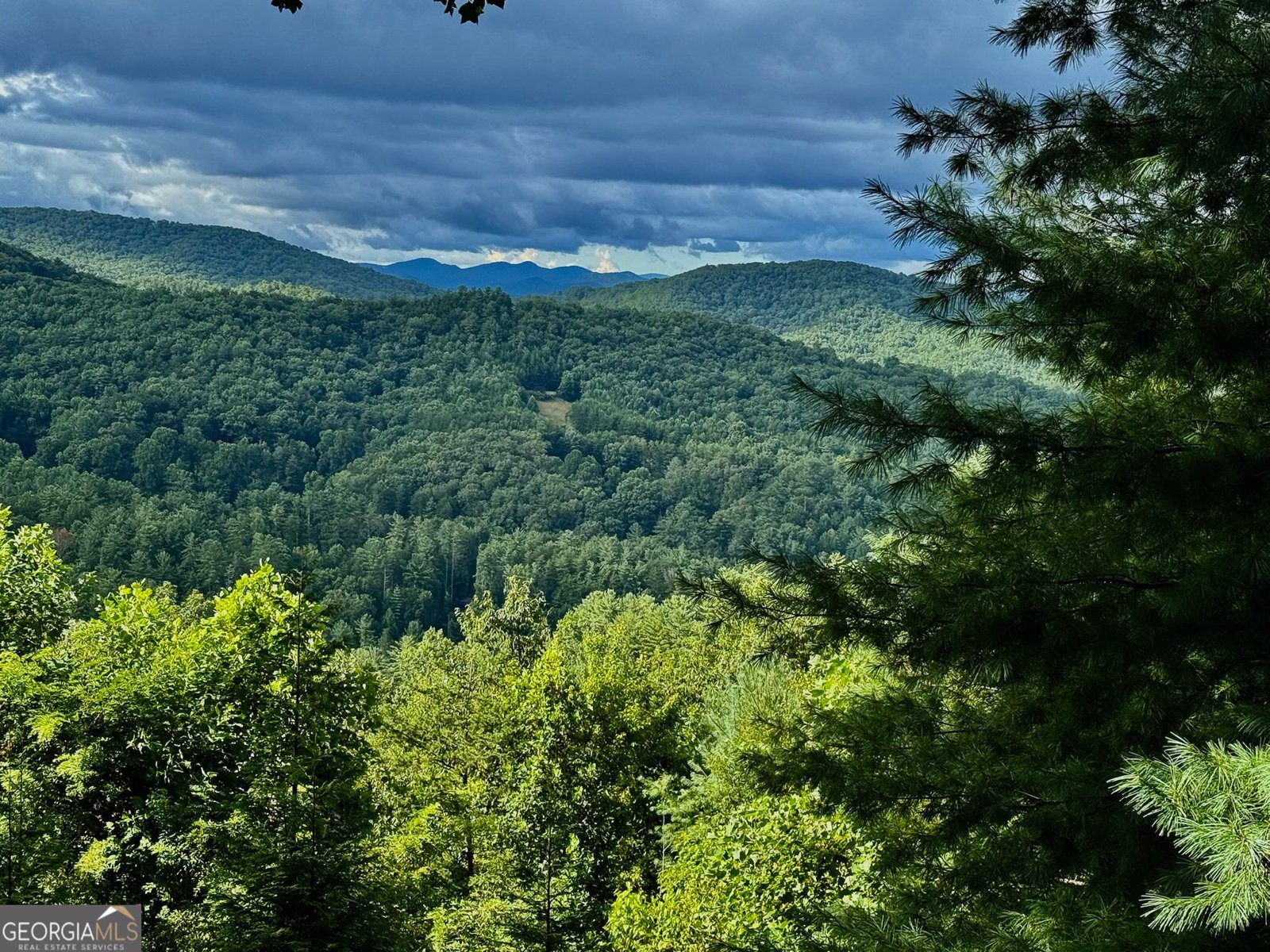 135 Bandit Lane Blue Ridge - Photo 64