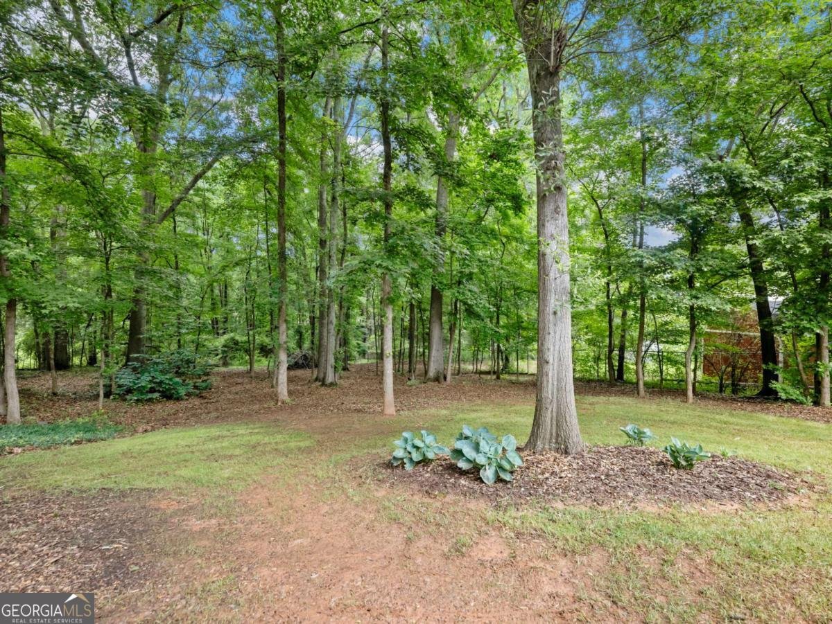 2609 Blanton Drive Winder - Photo 45
