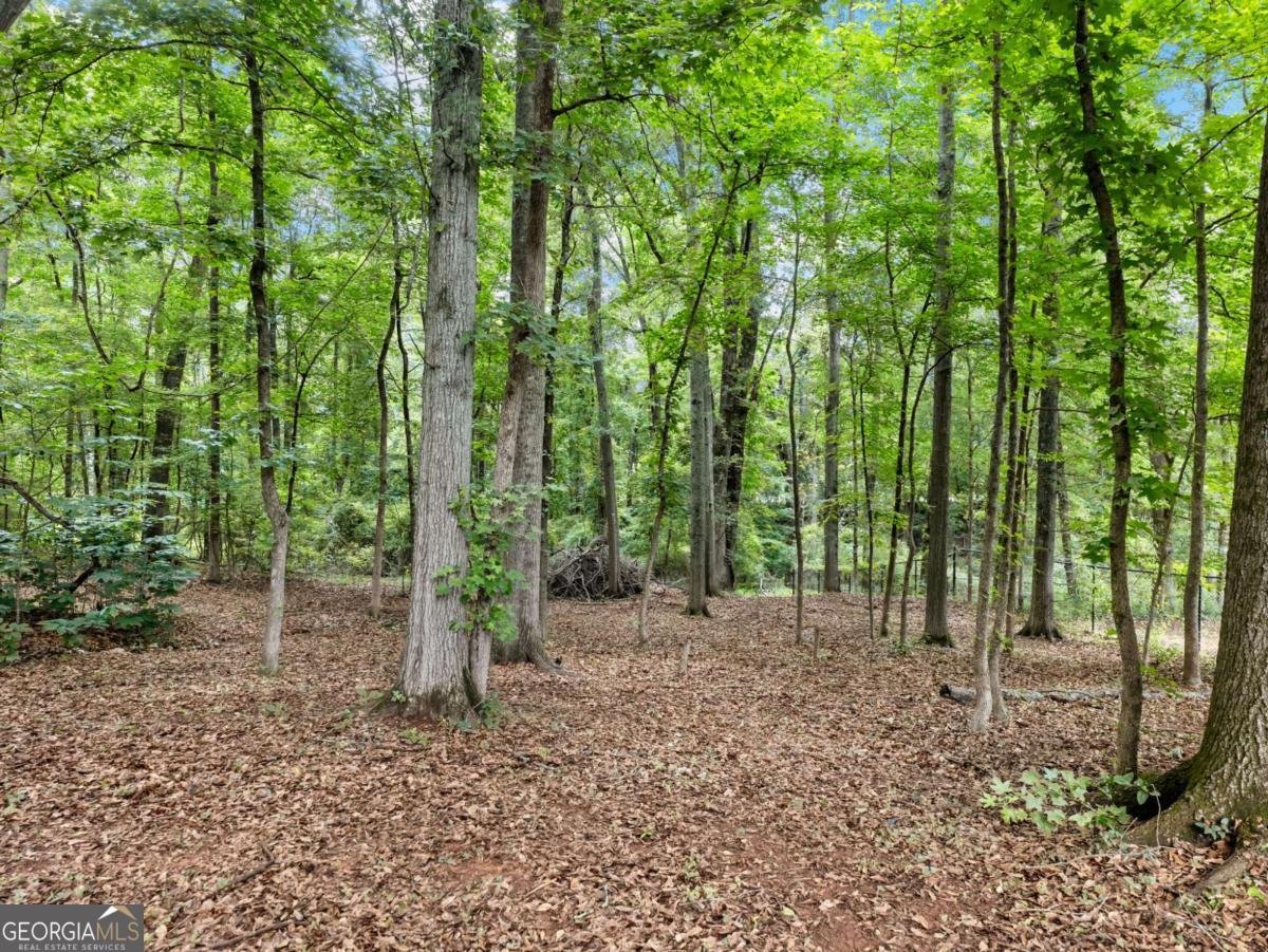 2609 Blanton Drive Winder - Photo 46