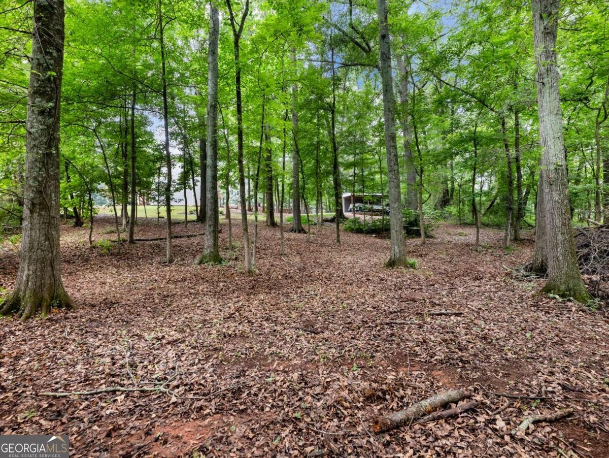 2609 Blanton Drive Winder - Photo 47