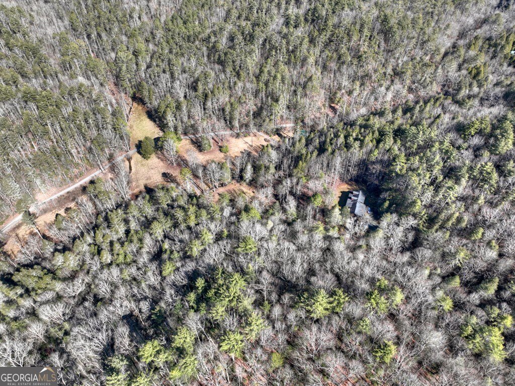 7233 Shakerag Road Ellijay - Photo 100