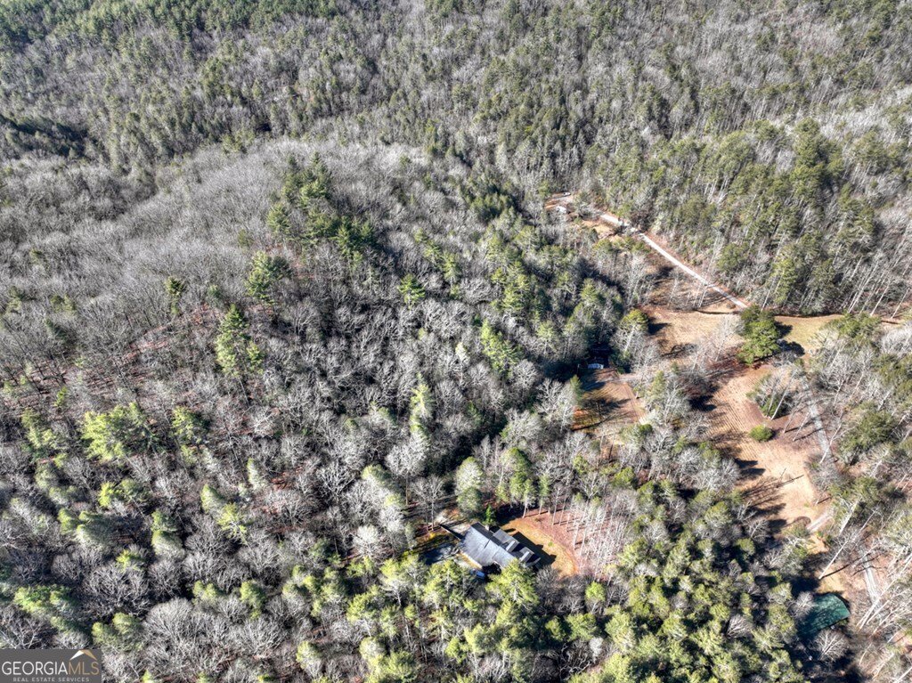 7233 Shakerag Road Ellijay - Photo 101