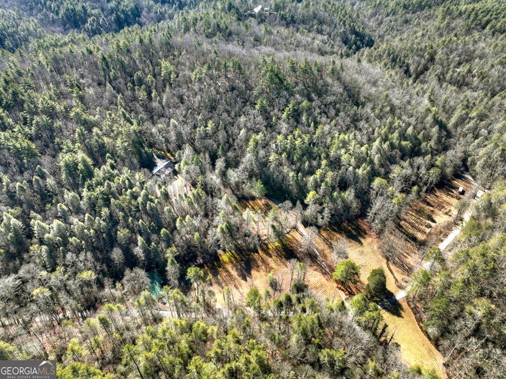 7233 Shakerag Road Ellijay - Photo 102