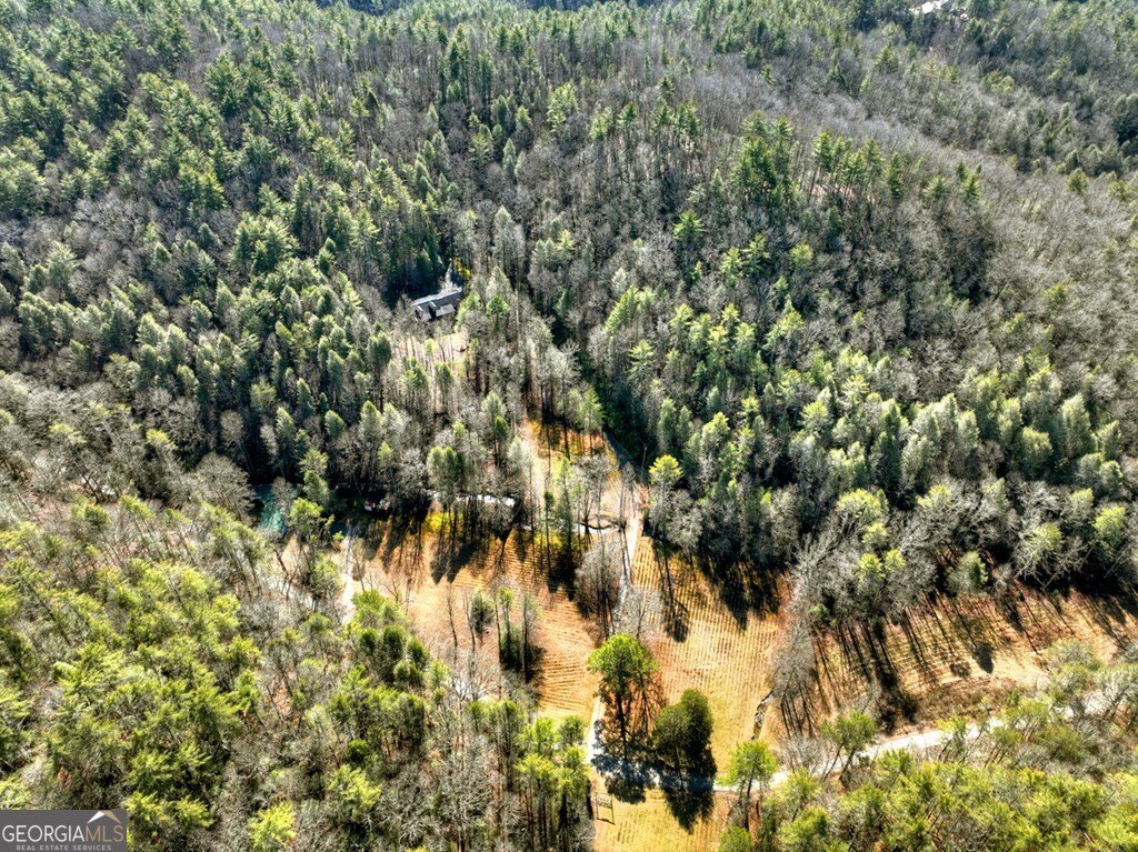 7233 Shakerag Road Ellijay - Photo 103