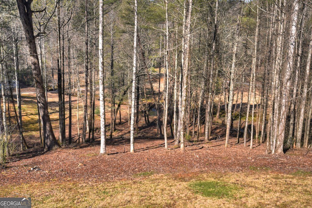 7233 Shakerag Road Ellijay - Photo 110