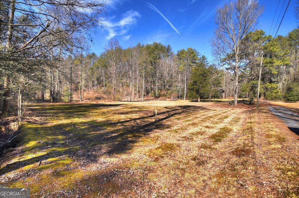 7233 Shakerag Road Ellijay - Photo 118
