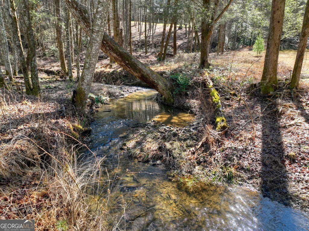 7233 Shakerag Road Ellijay - Photo 54