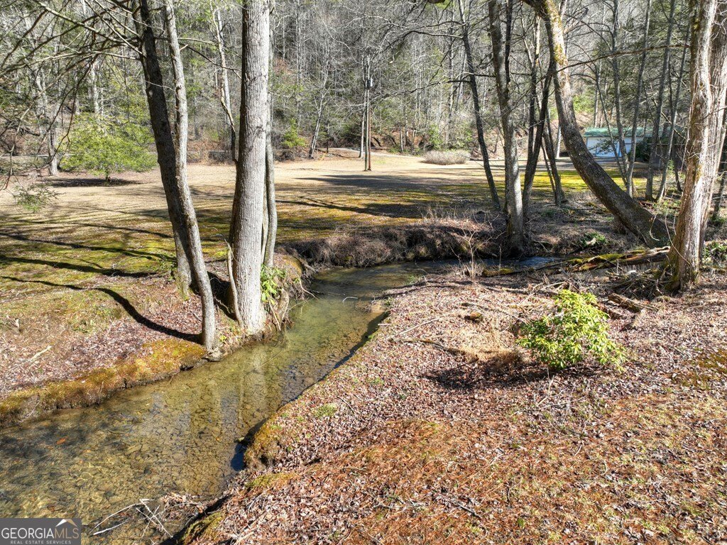 7233 Shakerag Road Ellijay - Photo 55