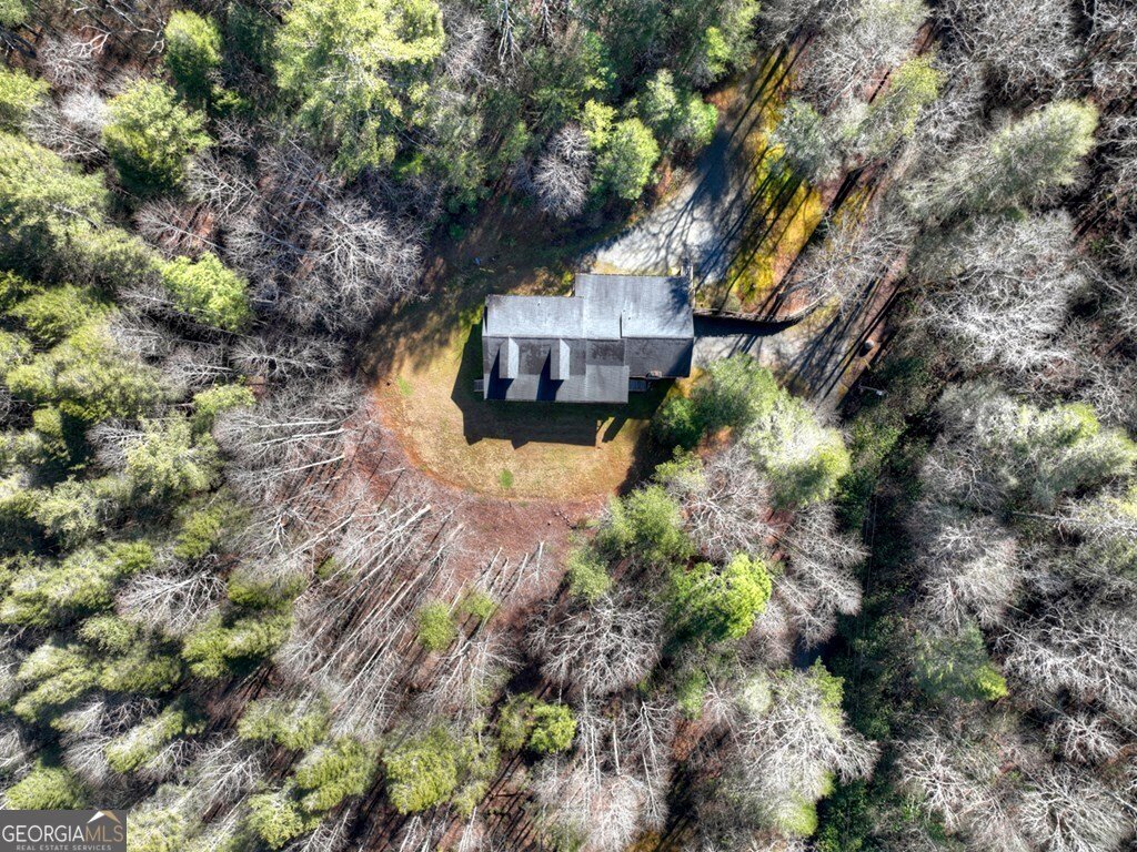 7233 Shakerag Road Ellijay - Photo 82