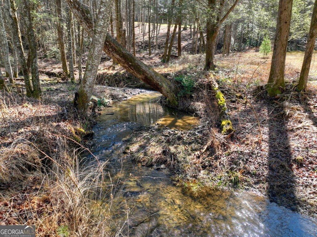 7233 Shakerag Road Ellijay - Photo 89