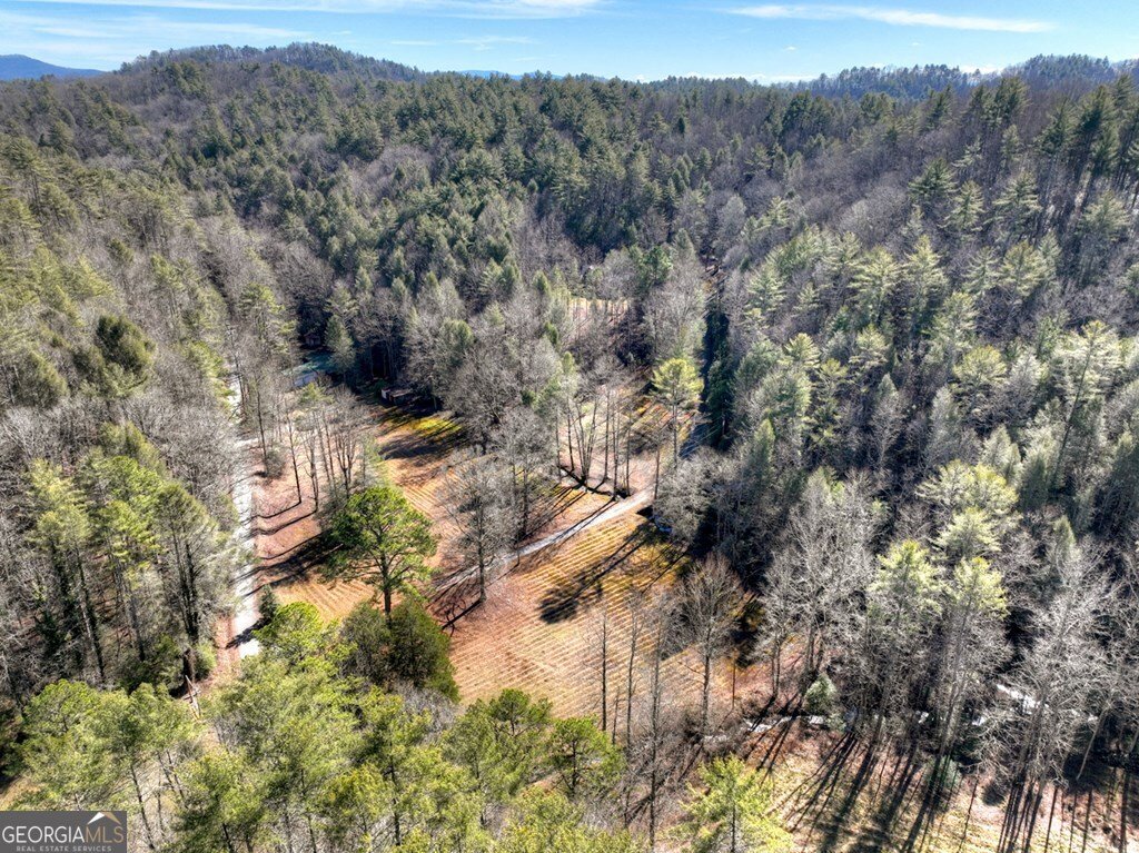 7233 Shakerag Road Ellijay - Photo 99