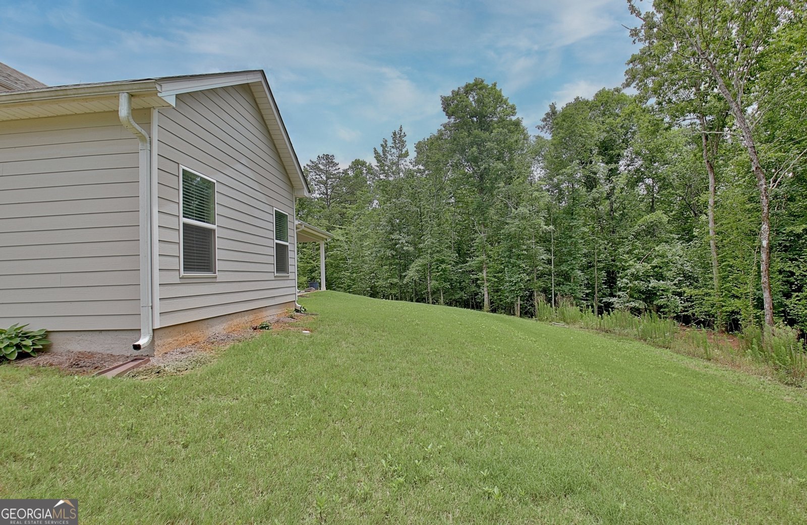 260 Sagebrook Lane Newnan - Photo 66