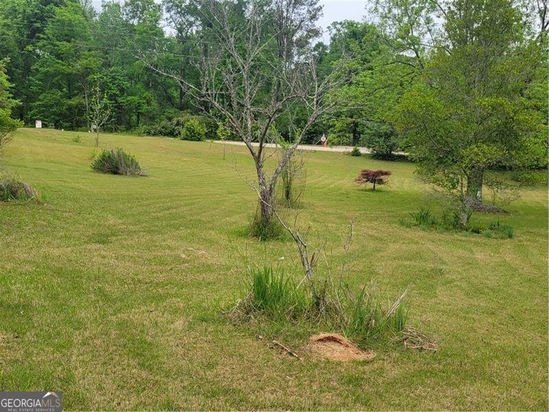 160 Norman Road Covington - Photo 49