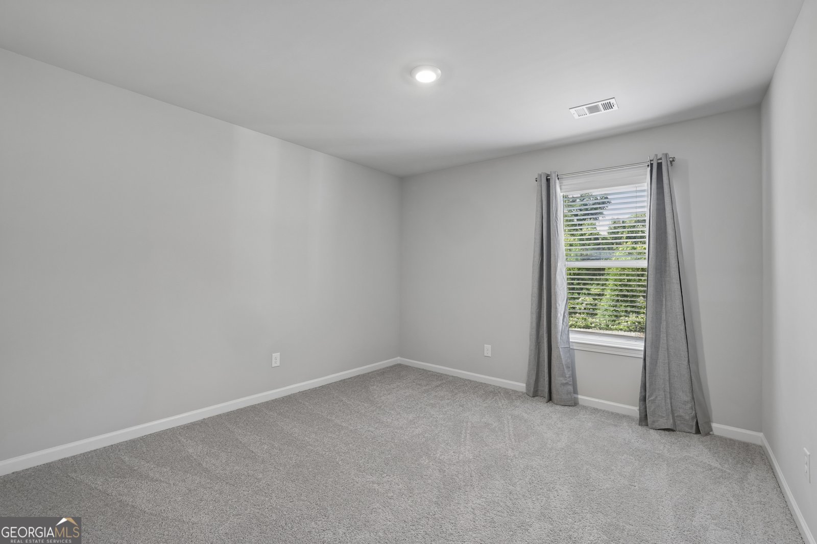 323 Quail Pass Dawsonville - Photo 26