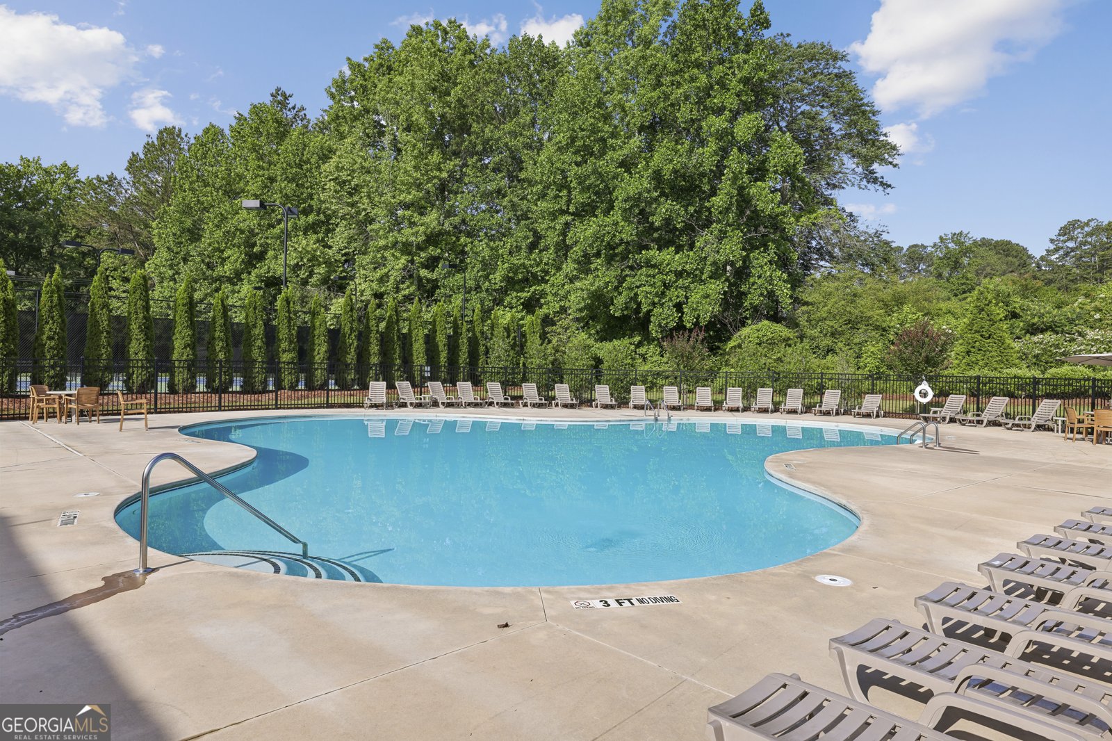 323 Quail Pass Dawsonville - Photo 30
