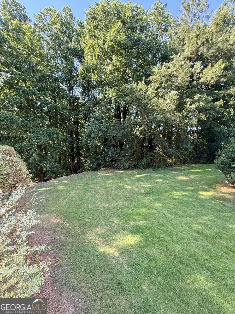 2051 Fairport Way Marietta - Photo 41