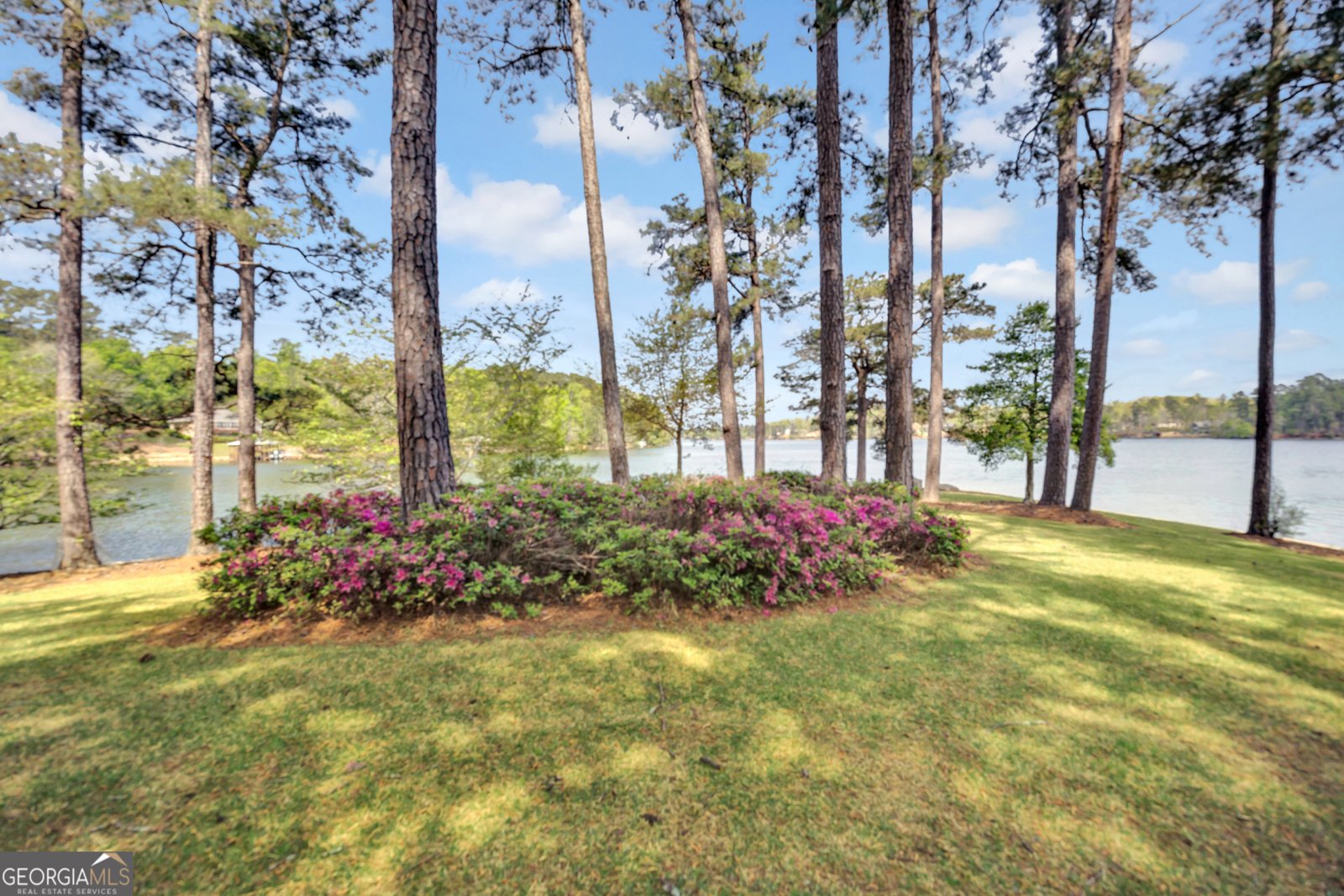 172 Tater Hill Road Jackson - Photo 11