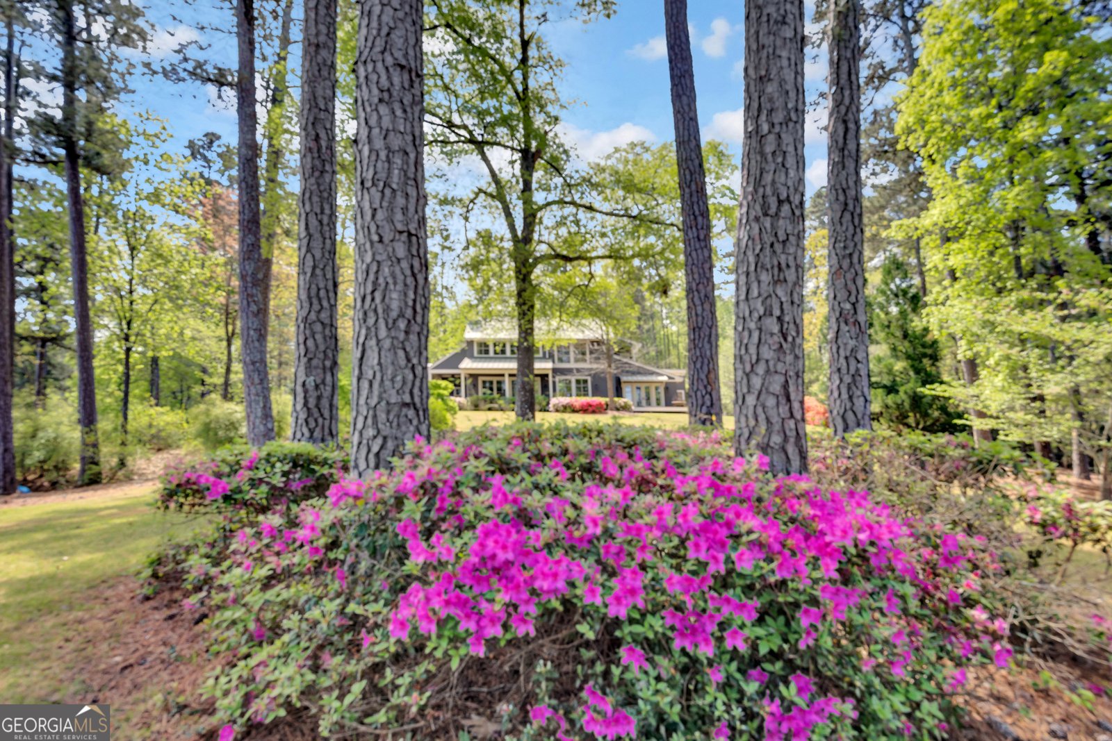 172 Tater Hill Road Jackson - Photo 13