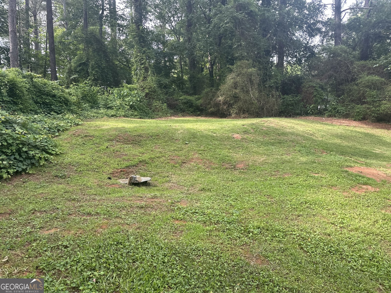 4273 Ipwich Court Snellville - Photo 20