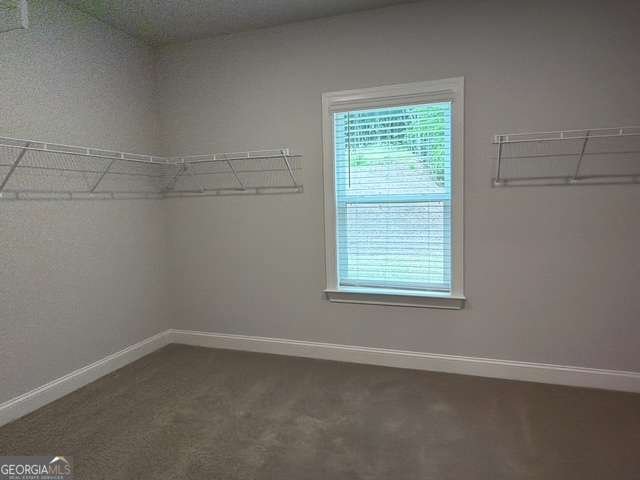 3320 Trevi Trail Douglasville - Photo 27