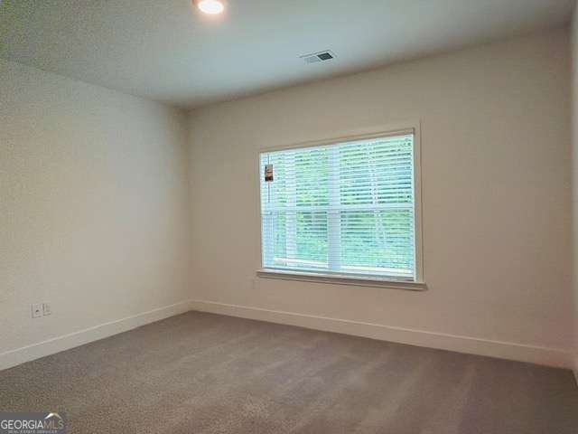 3320 Trevi Trail Douglasville - Photo 28