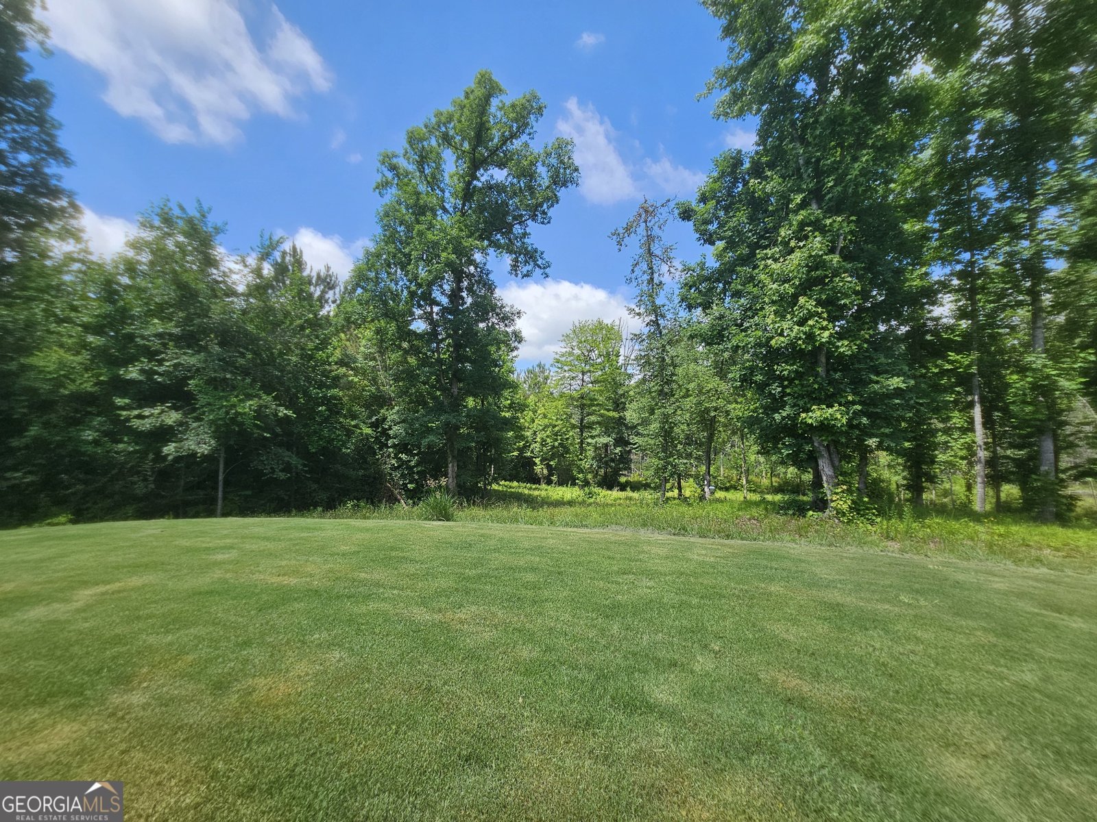 42 J D Walton Road Newnan - Photo 45