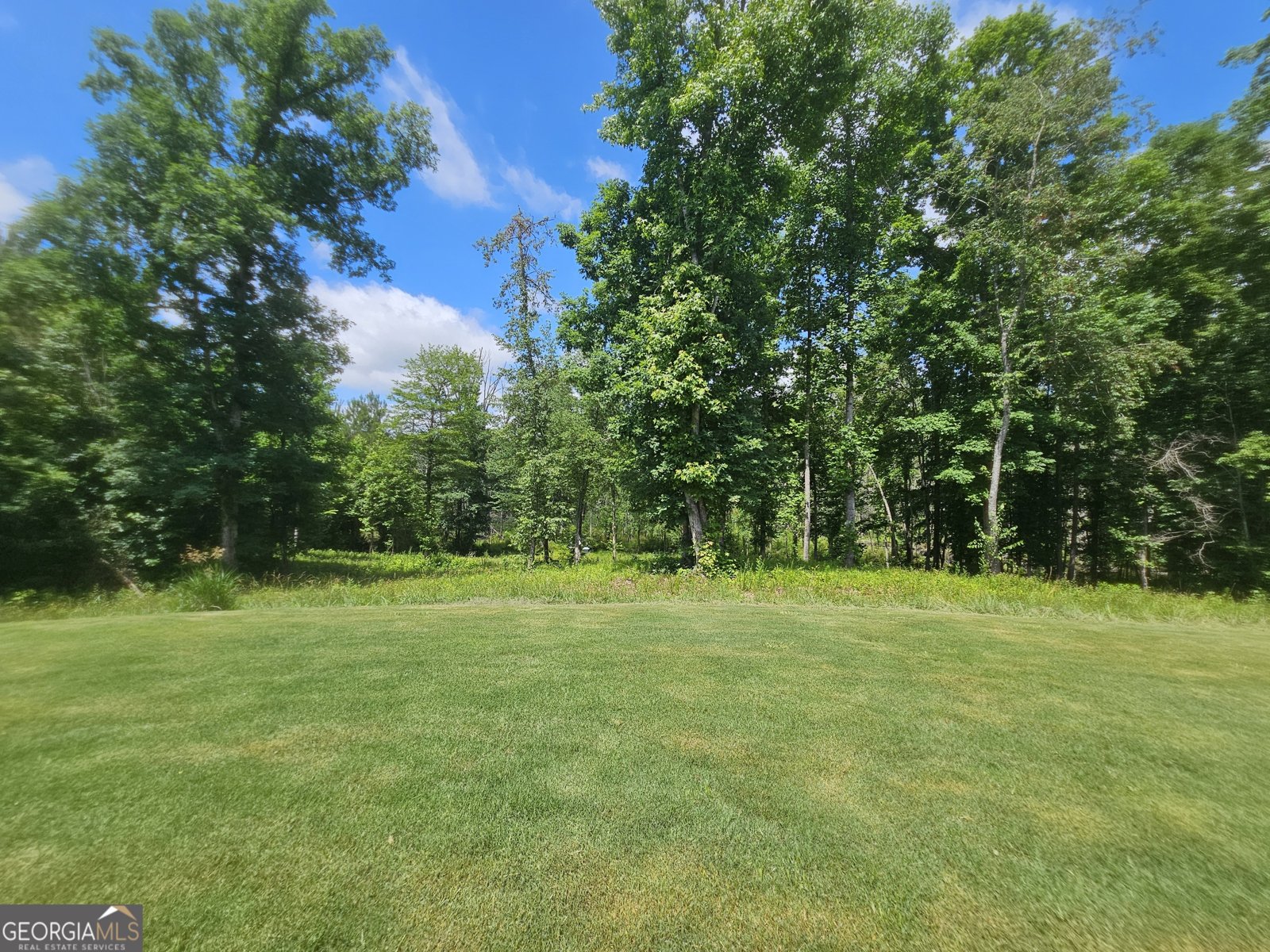 42 J D Walton Road Newnan - Photo 46