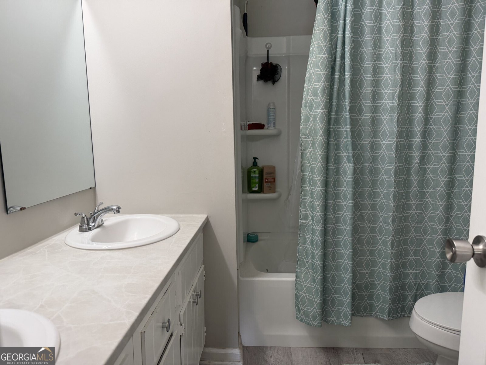 125 Lake Wellington Drive Kingsland - Photo 8