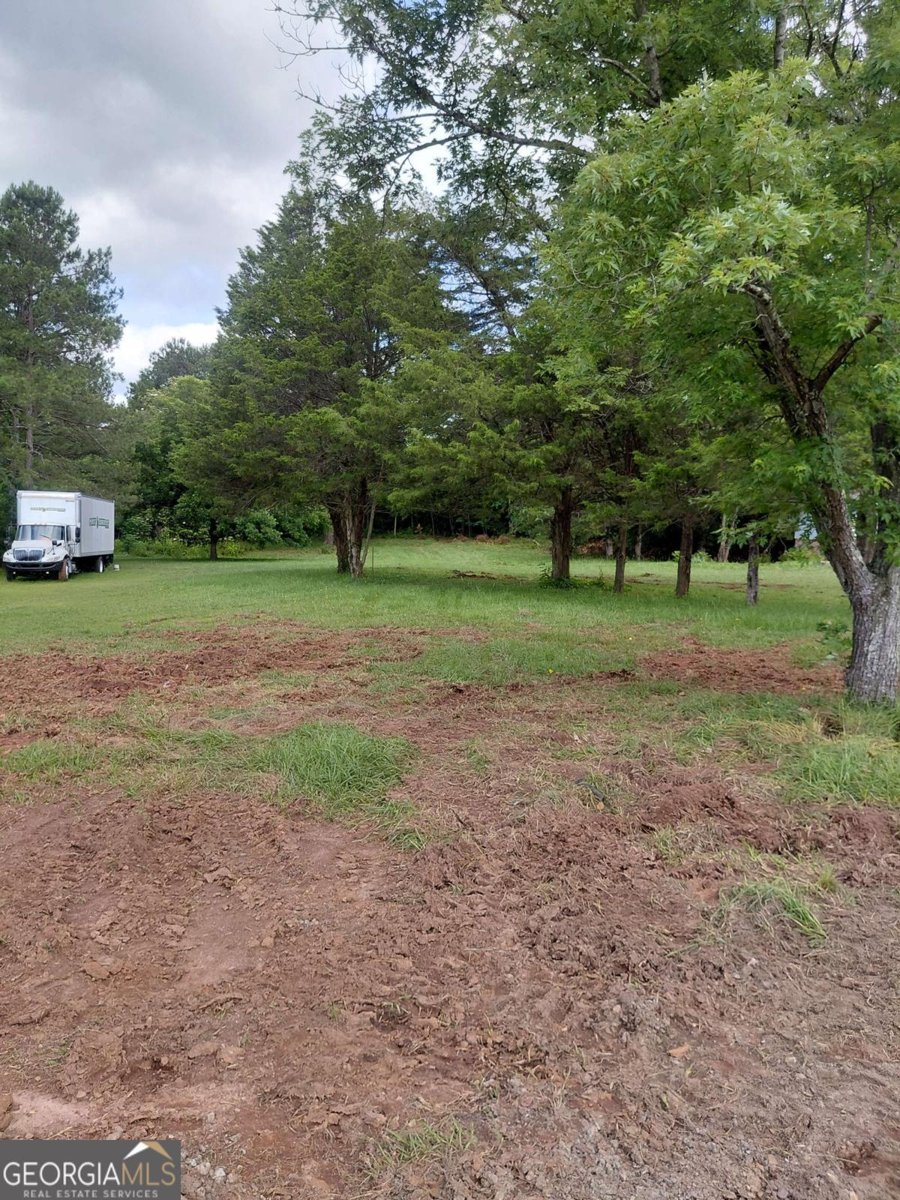 107 Brookview Drive Griffin - Photo 16