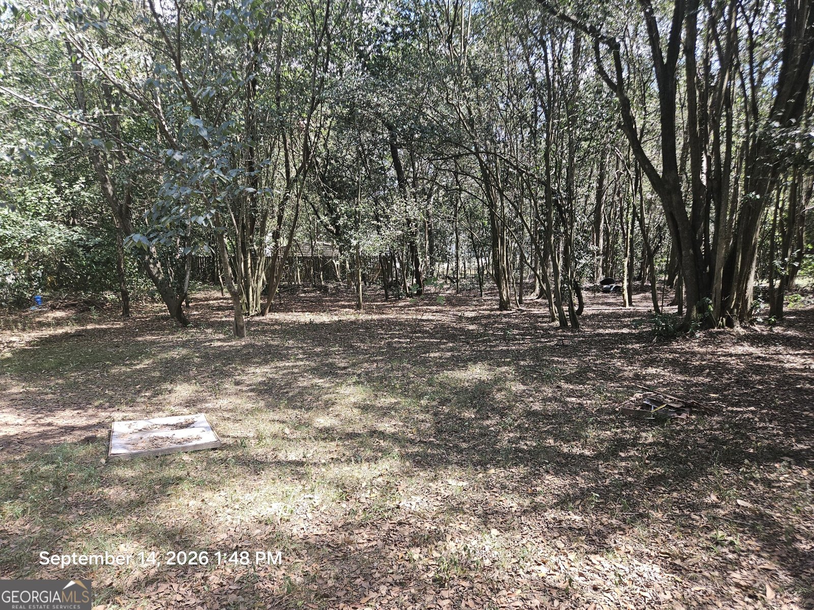 4222 Trammel Avenue Macon - Photo 6