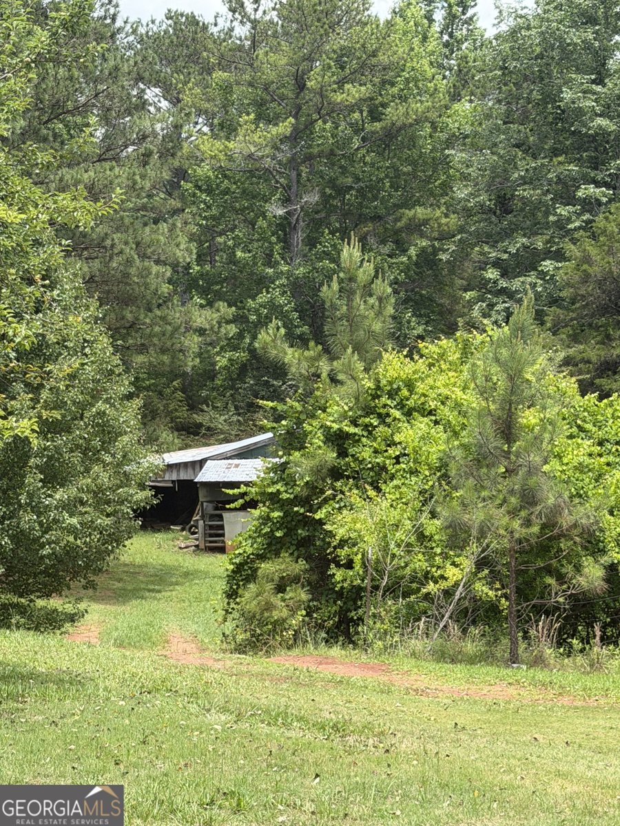 8152 CR 222 Five Points - Photo 10