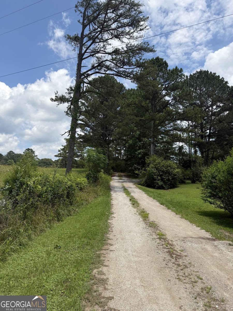 8152 CR 222 Five Points - Photo 6