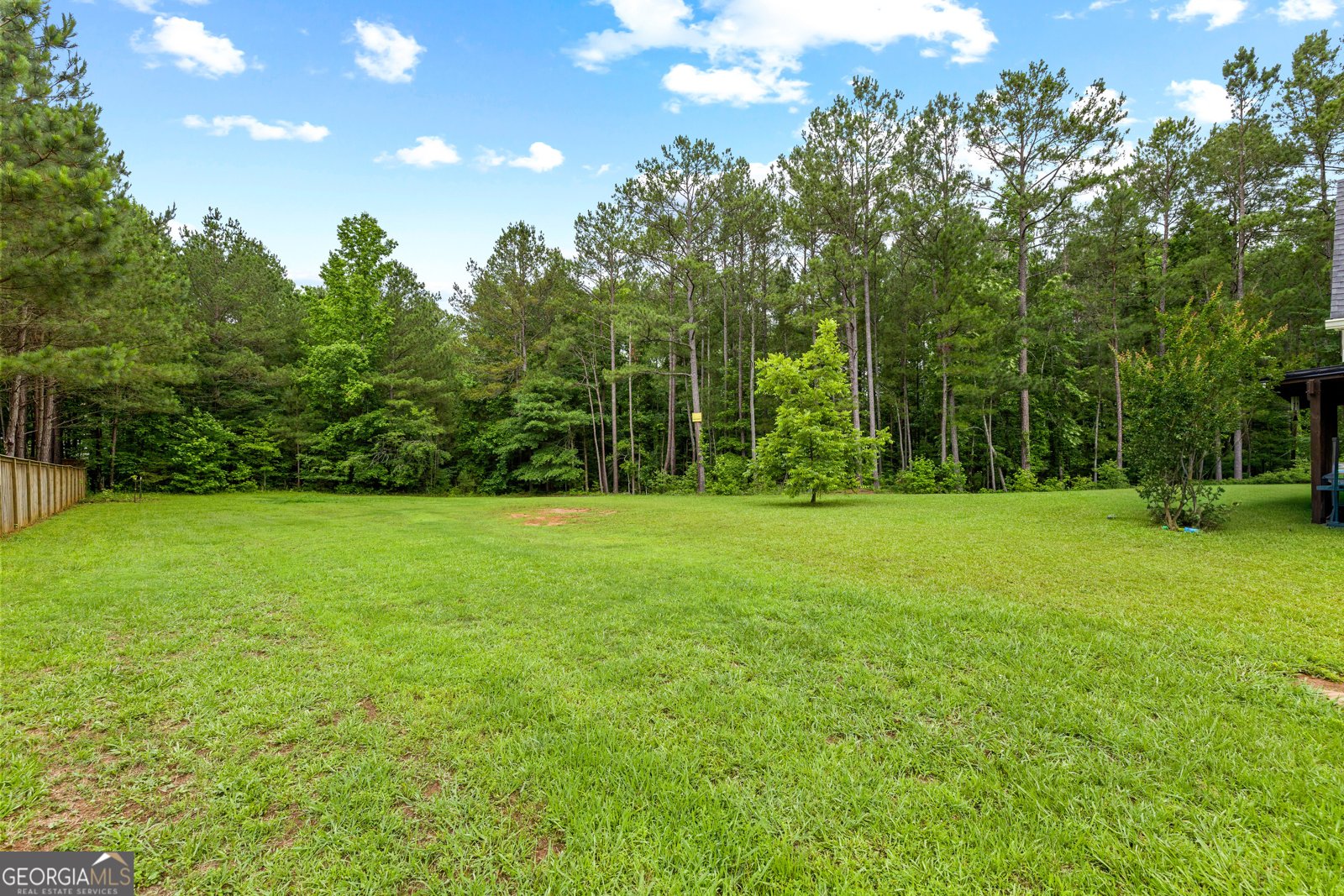 22 Gordon Manor Court Senoia - Photo 44
