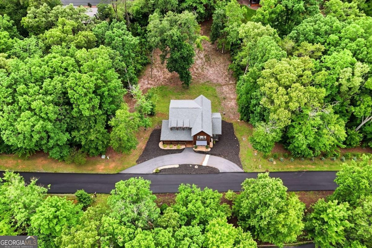 200 Arbor Way Blue Ridge - Photo 81