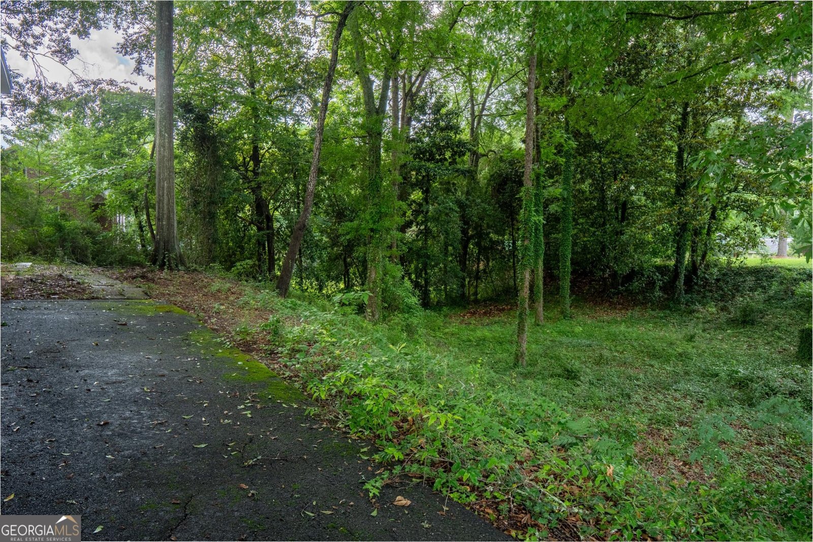 122 Springdale Drive Thomaston - Photo 44
