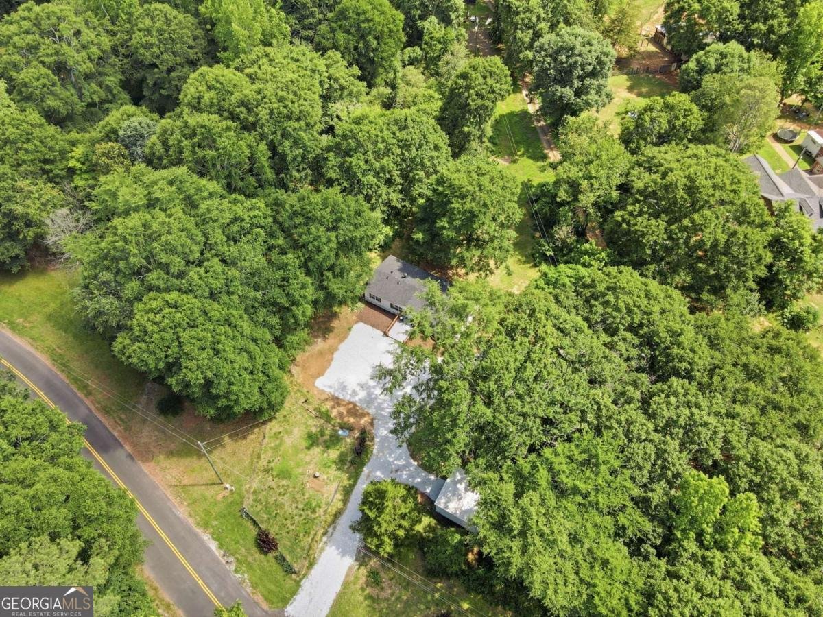 1203 Lanier Road Pendergrass - Photo 4
