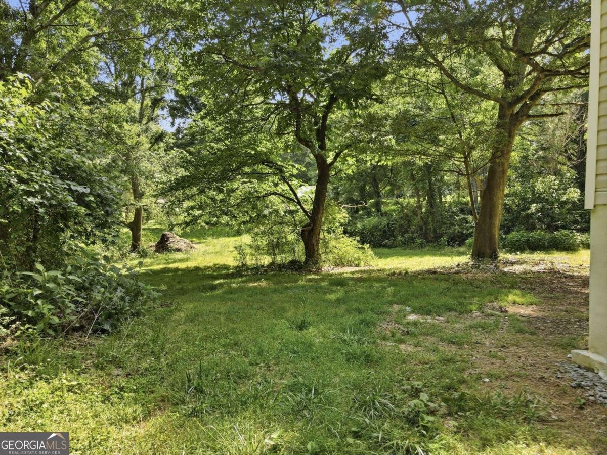 1203 Lanier Road Pendergrass - Photo 42