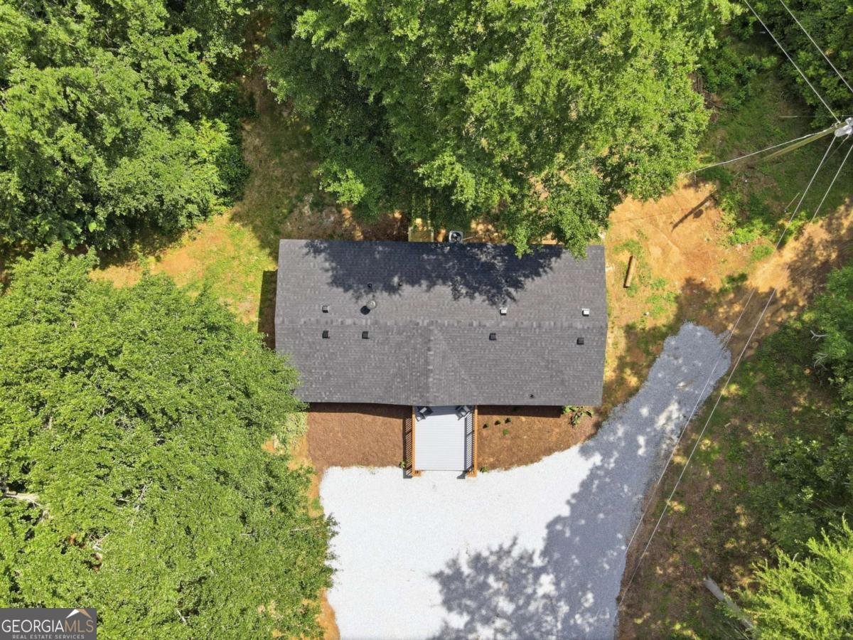 1203 Lanier Road Pendergrass - Photo 45