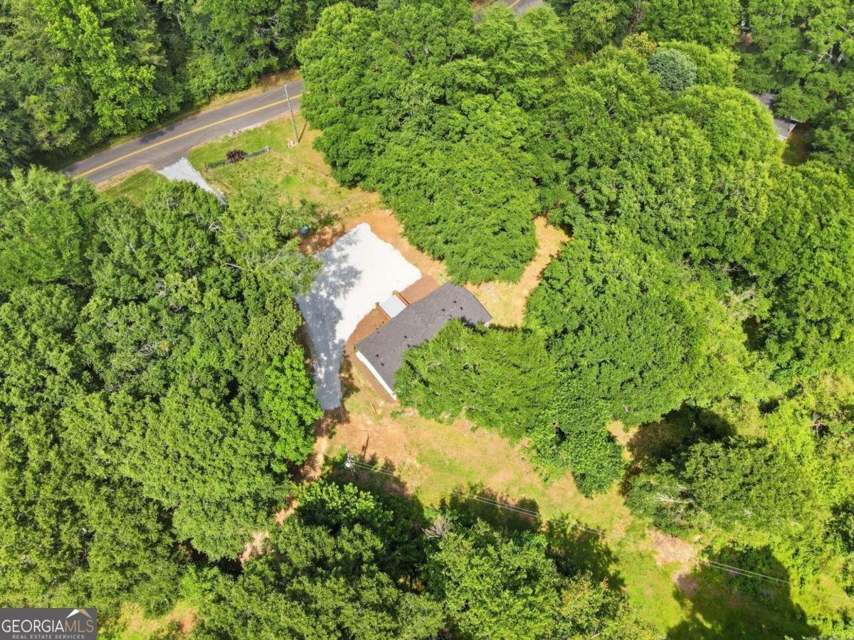 1203 Lanier Road Pendergrass - Photo 48