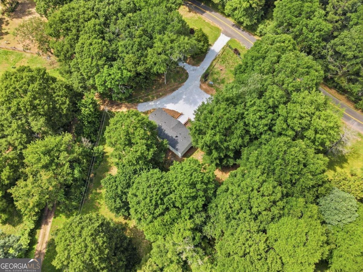 1203 Lanier Road Pendergrass - Photo 49