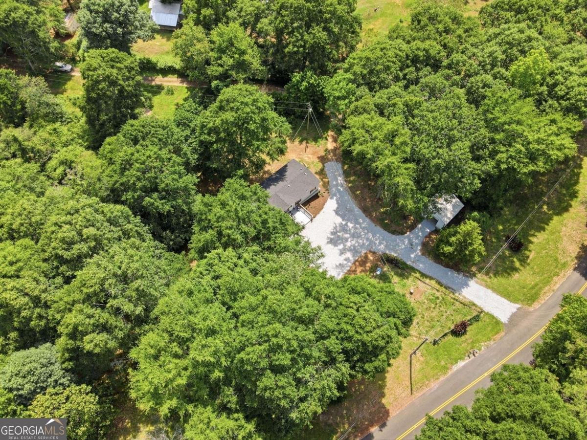 1203 Lanier Road Pendergrass - Photo 5